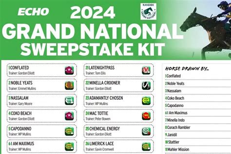 grand national 2024 sweepstake|Grand National Sweepstake 2024: Free Online Generator.